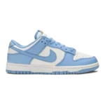 Nike Dunk Low Coast