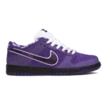 Nike SB Dunk Low x Concepts Purple Lobster