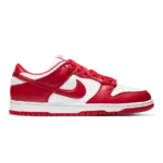 Nike Dunk Low Retro SP St. Johns