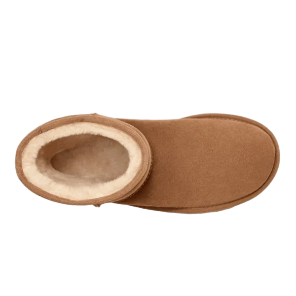 ⁦UGG Classic Short II Chestnut⁩ – תמונה ⁦4⁩