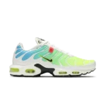 Nike Air Max Plus Worldwide