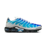 Nike Air Max Plus One Block Down Light Photo Blue