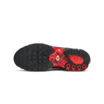 ⁦Nike Air Max Plus Bred⁩ – תמונה ⁦4⁩