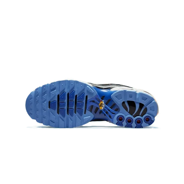 ⁦Nike Air Max Plus University Blue⁩ – תמונה ⁦5⁩