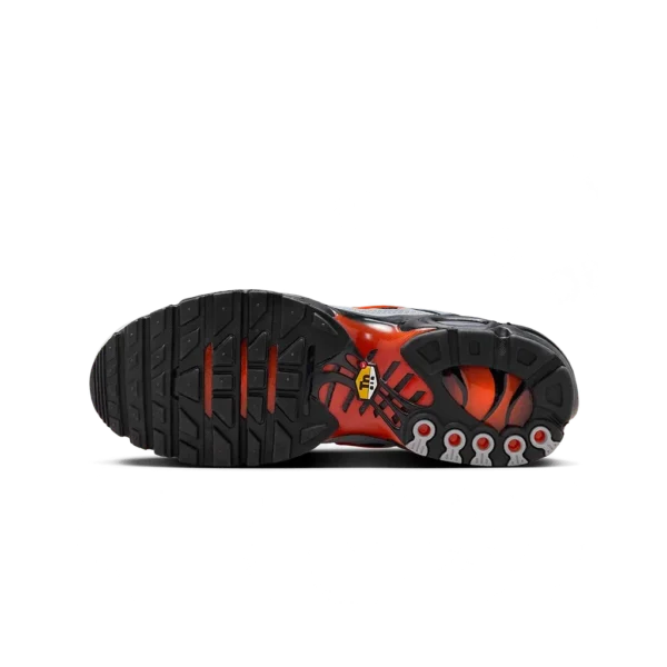 ⁦Nike Air Max Plus Wolf Grey⁩ – תמונה ⁦5⁩
